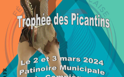 Compétition Patinage Artistique les 2 et 3 mars 2024 !